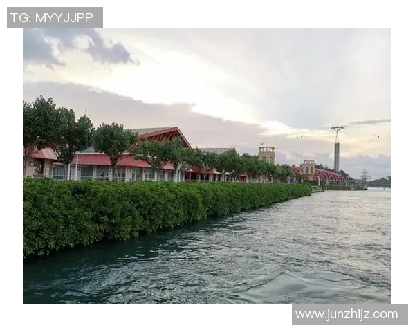 深圳滑板队个人能力分析与提升策略探讨